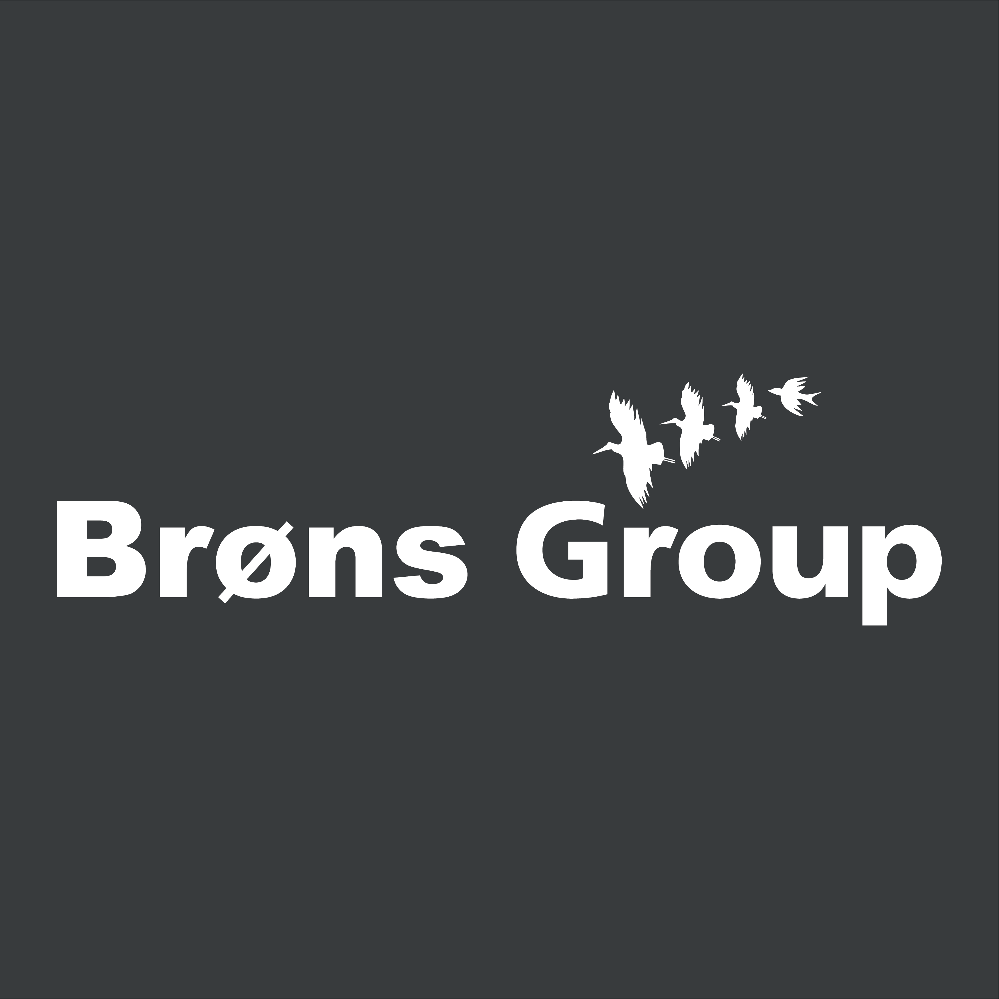 Brøns Group